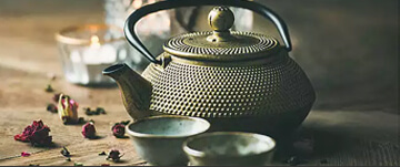 山茶属多种植物和园艺品种的通称.
