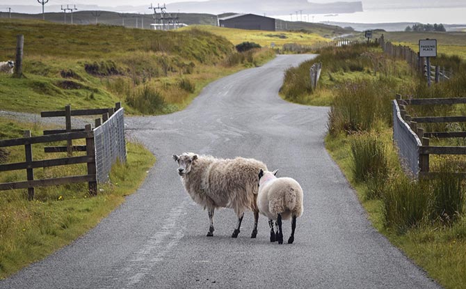 湖南某某网络科技有限公司